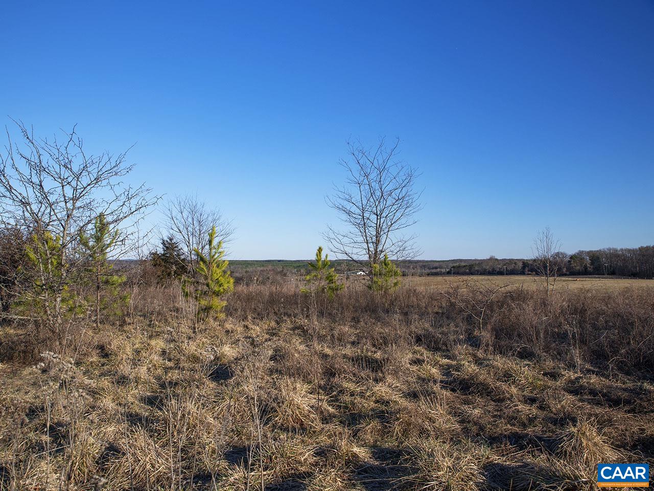 Tbd-1 Manteo Road Buckingham, VA 23921 - Photo 4 of 10 a view of a dry yard