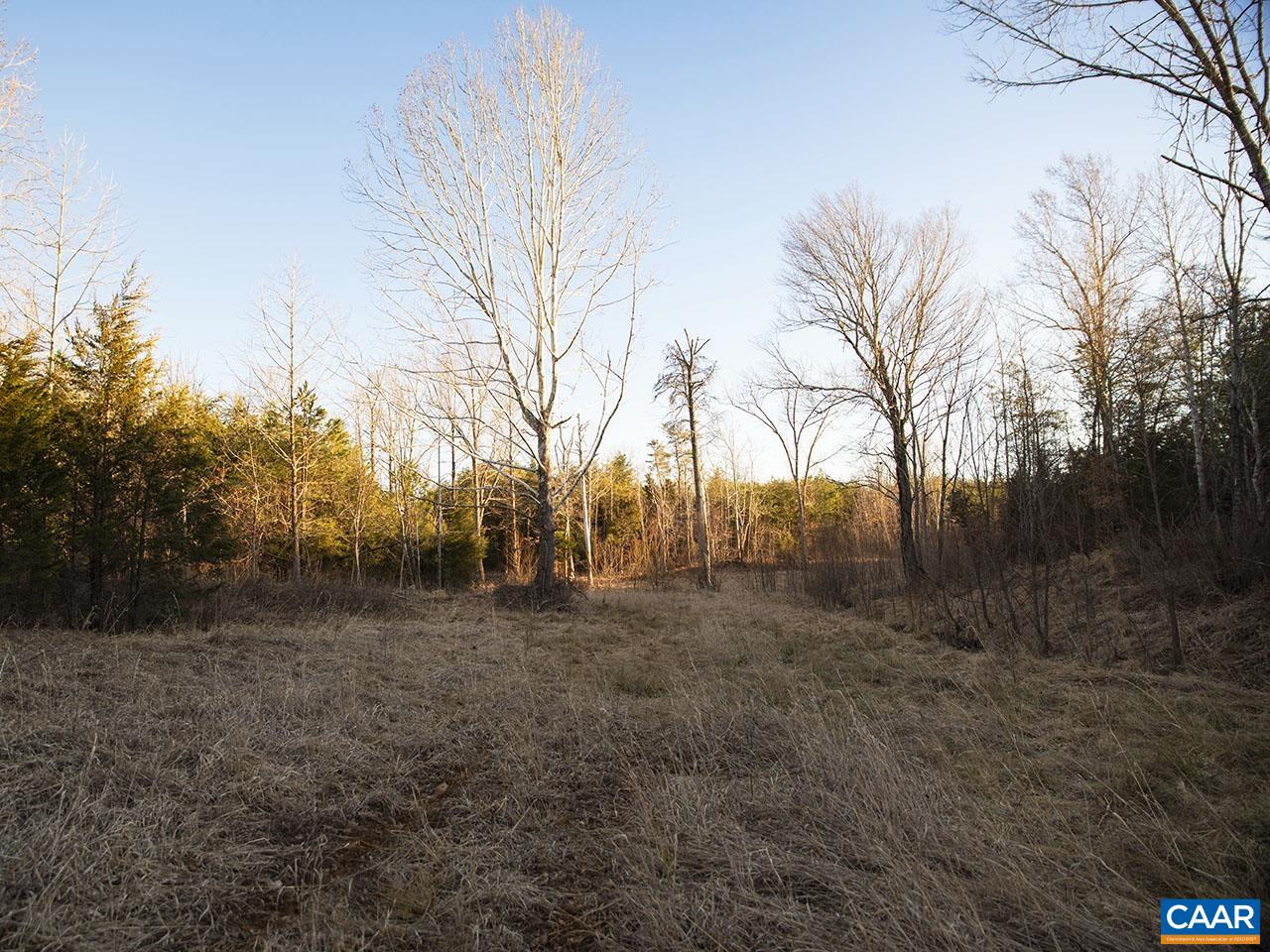 Tbd-1 Manteo Road Buckingham, VA 23921 - Photo 6 of 10 a view of a yard with trees