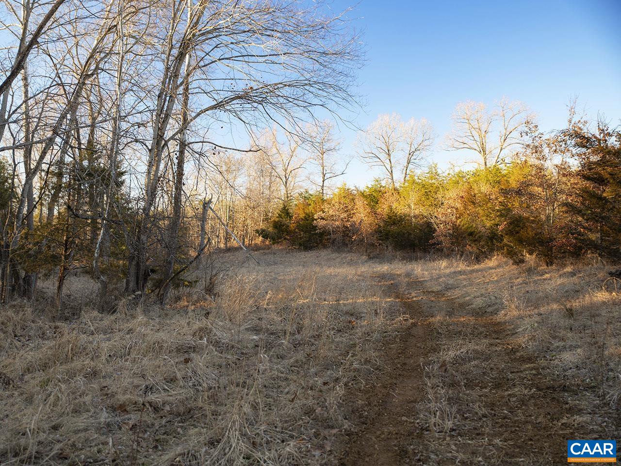 Tbd-1 Manteo Road Buckingham, VA 23921 - Photo 7 of 10 a view of backyard of the house