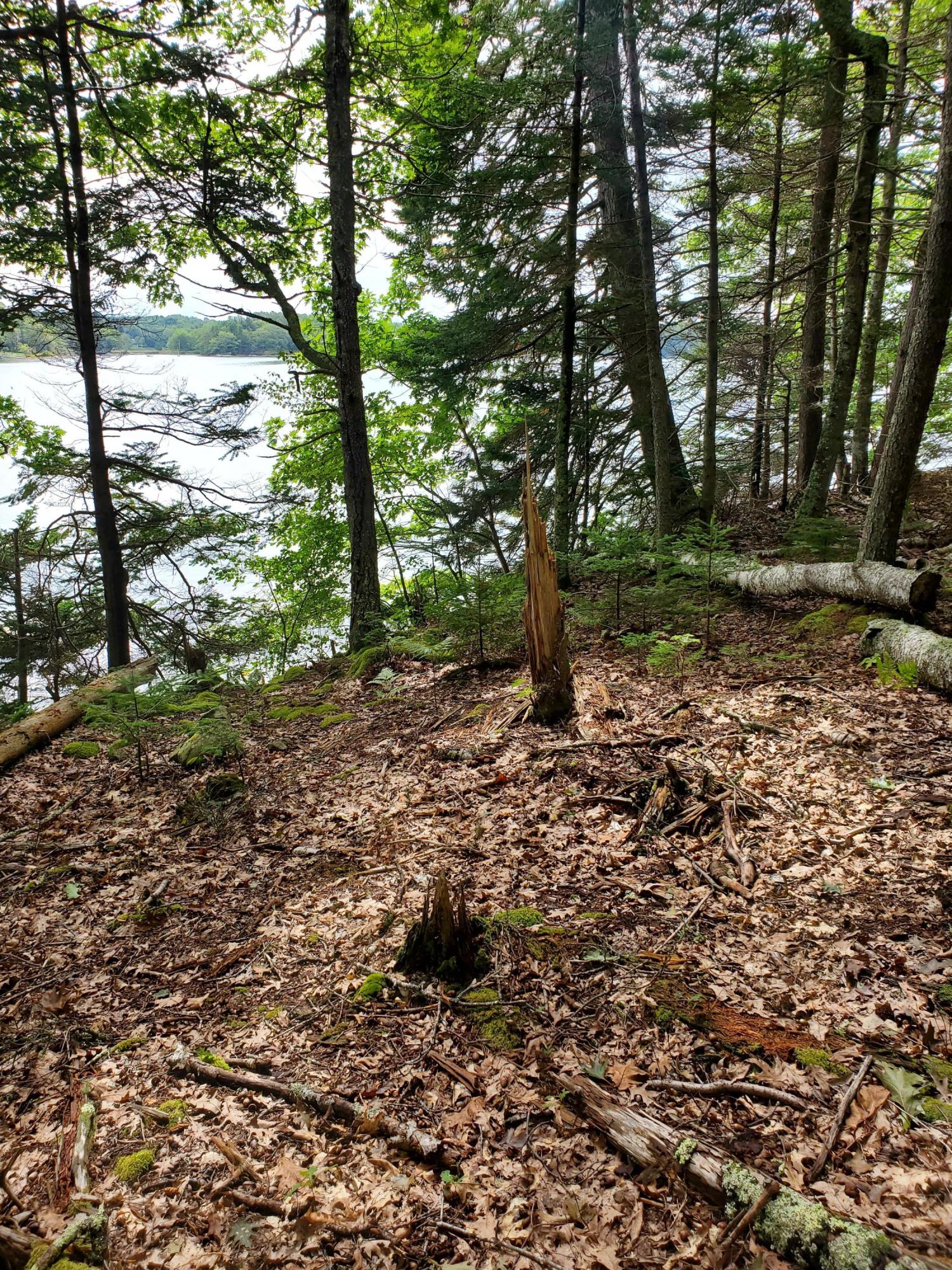144 Treasure Point Road St. George, ME 04860 - Photo 5 of 19 20200903_121519 (2)