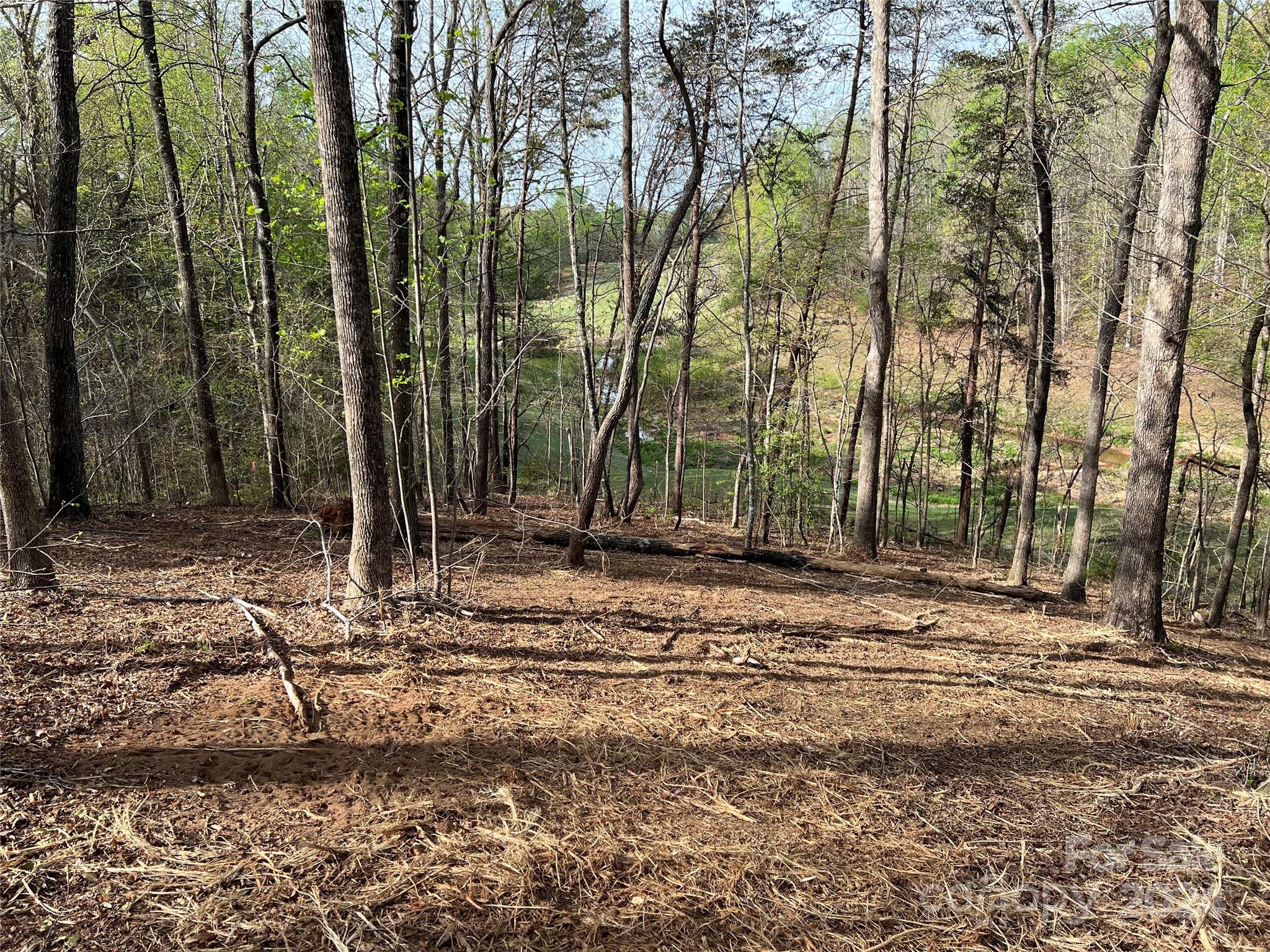 0 Moss Drive, Unit 39 Rutherfordton, NC 28139 - Photo 11 of 21 Gallery Image 11
