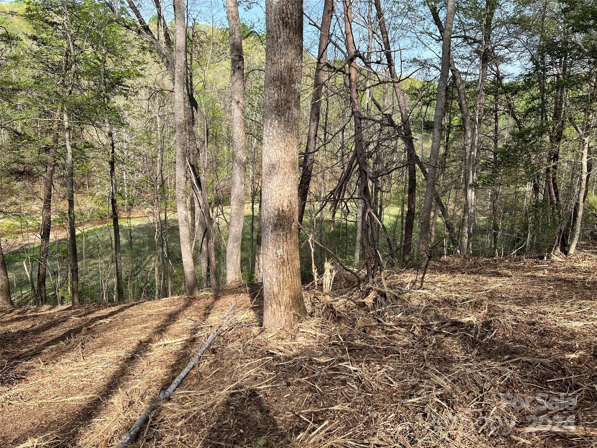 0 Moss Drive, Unit 39 Rutherfordton, NC 28139 - Photo 12 of 21 Gallery Image 12
