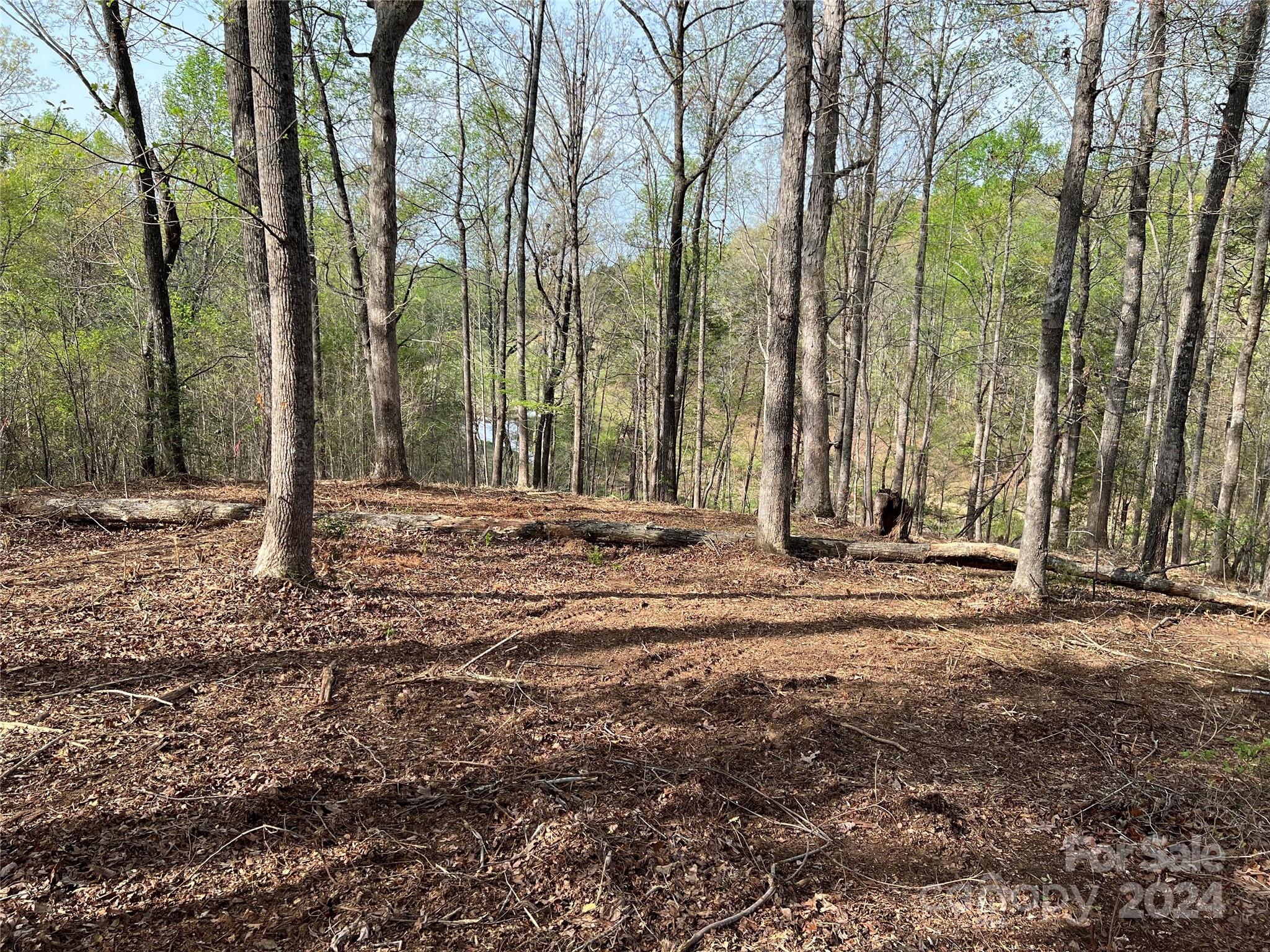 0 Moss Drive, Unit 39 Rutherfordton, NC 28139 - Photo 13 of 21 Gallery Image 13