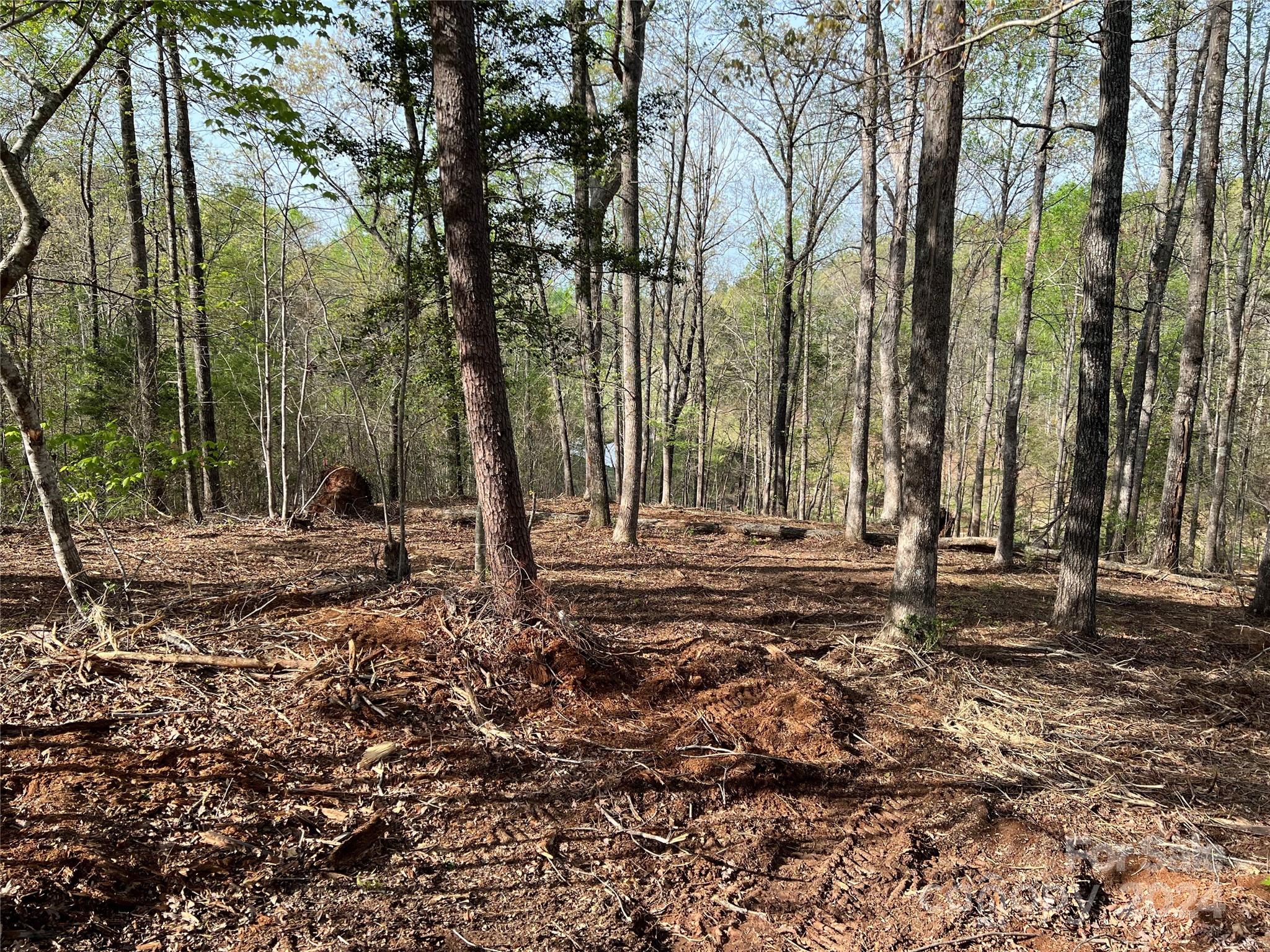 0 Moss Drive, Unit 39 Rutherfordton, NC 28139 - Photo 3 of 21 Gallery Image 3