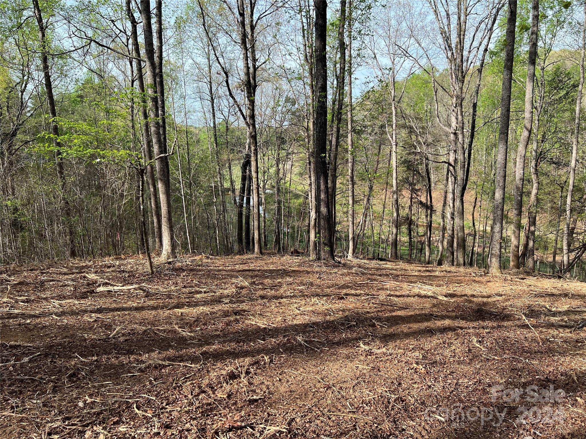 0 Moss Drive, Unit 39 Rutherfordton, NC 28139 - Photo 5 of 21 Gallery Image 5