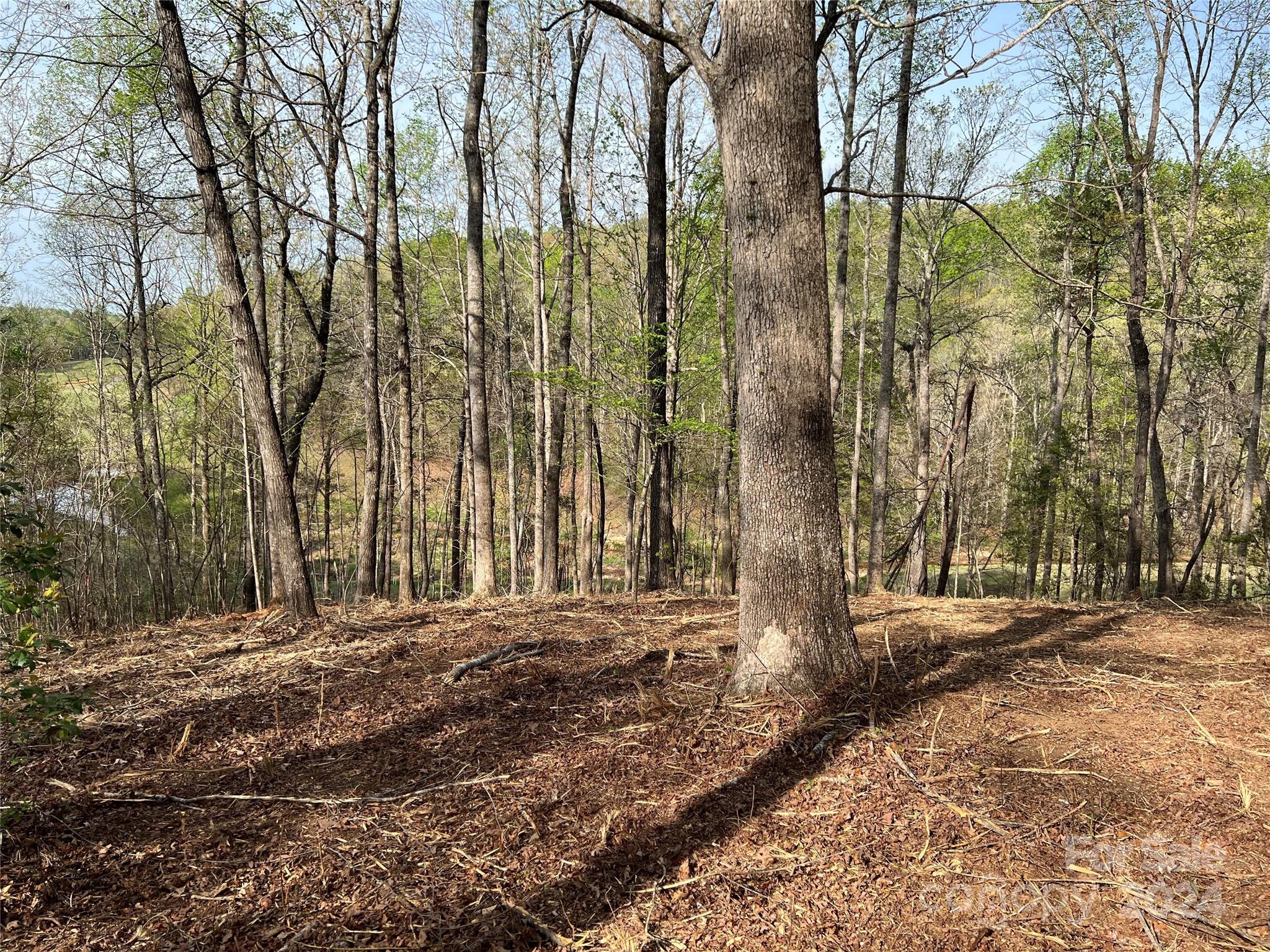 0 Moss Drive, Unit 39 Rutherfordton, NC 28139 - Photo 6 of 21 Gallery Image 6