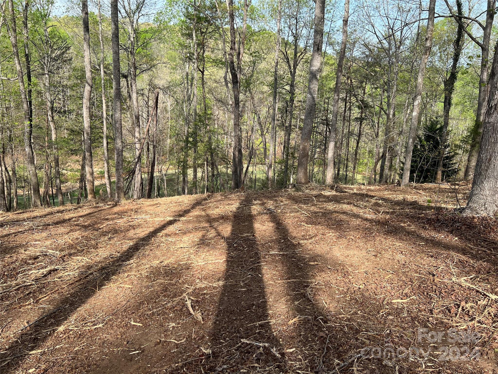 0 Moss Drive, Unit 39 Rutherfordton, NC 28139 - Photo 7 of 21 Gallery Image 7