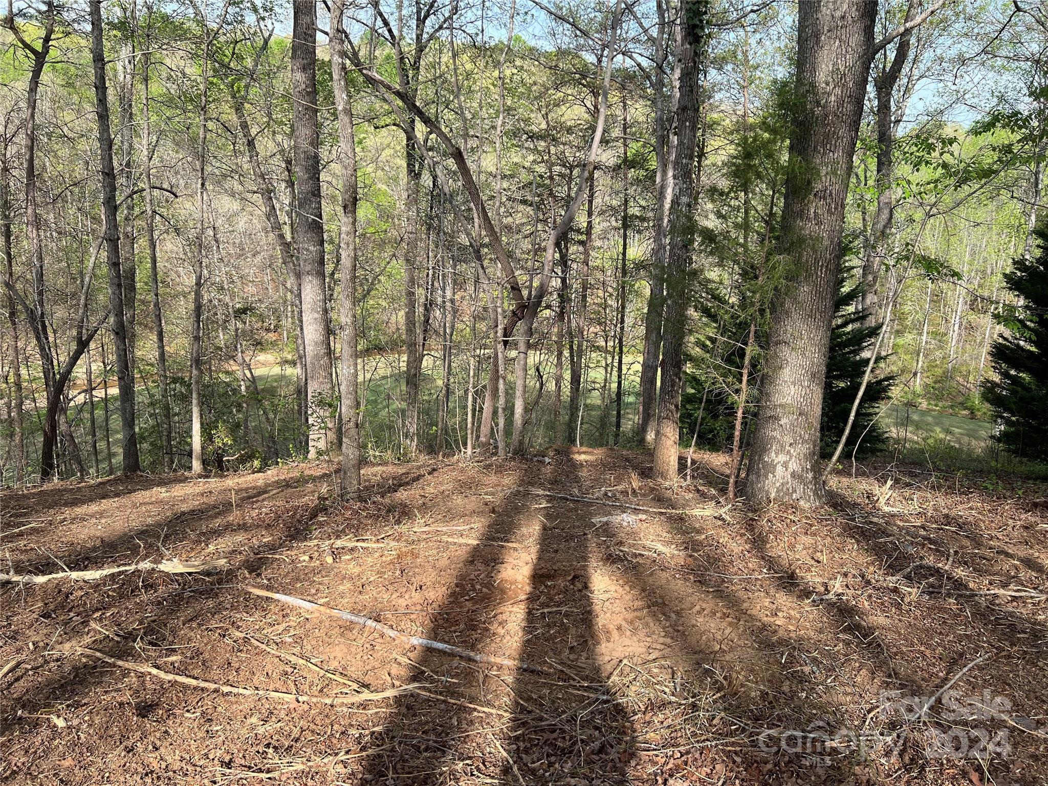 0 Moss Drive, Unit 39 Rutherfordton, NC 28139 - Photo 8 of 21 Gallery Image 8