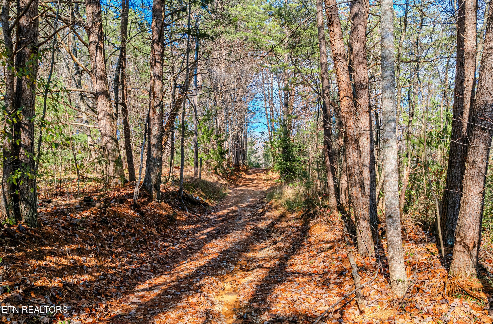 0 Pond Ridge Road Tellico Plains, TN 37385 - Photo 21 of 32