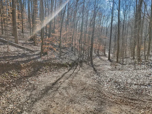 $858,000 | 426 Fern Gully Lane, Wartrace, TN 37183