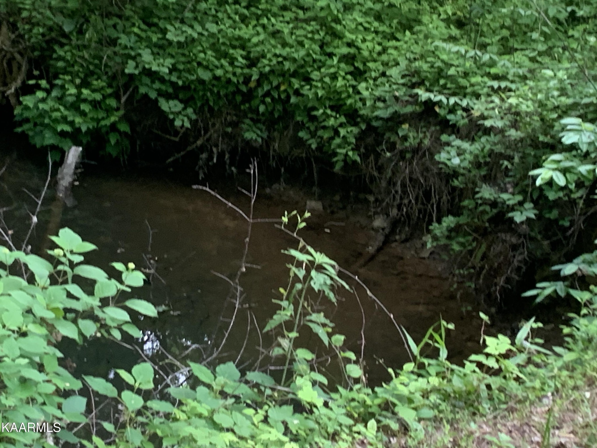 1971 Steve Brown Road Bean Station, TN 37708 - Photo 7 of 15 Gallery Image 7