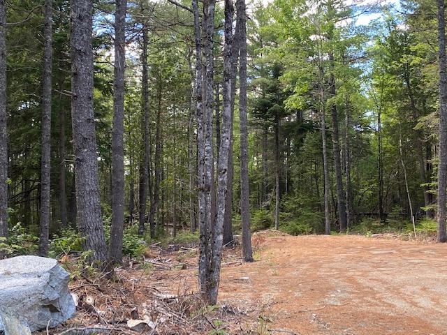 0 Front Ridge Road Penobscot, ME 04476 - Photo 12 of 14 IMG_3265