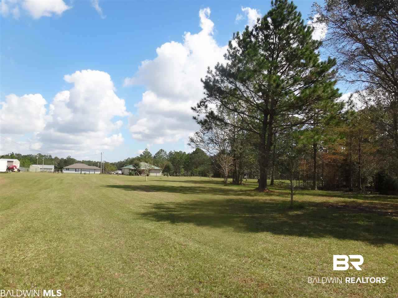 19359 3 Rivers Road Seminole, AL 36574 - Photo 18 of 18