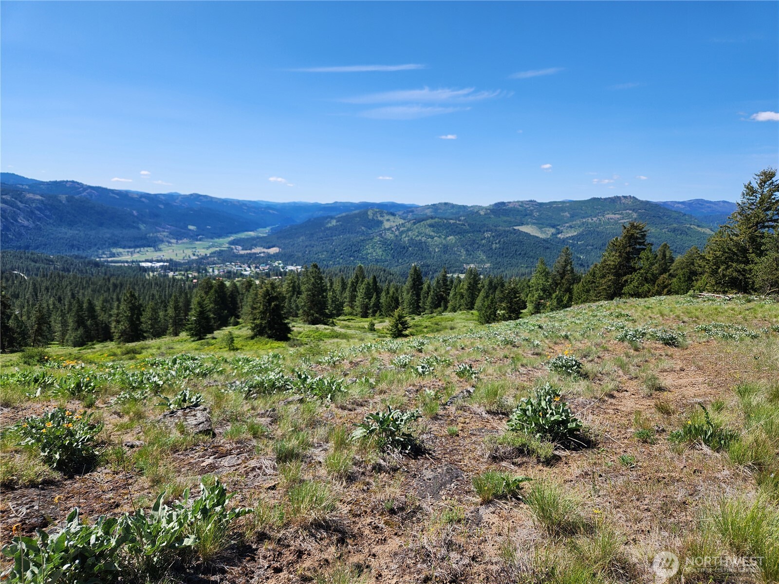 0 East Knob Hill Road Republic, WA 99166 - Photo 3 of 9 a view of a lush green hillside and a houses