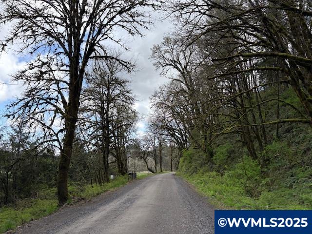 0 Northwest Old Railroad Grade Road Yamhill, OR 97148 - Photo 10 of 10