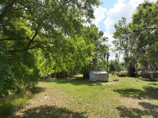 a garden view