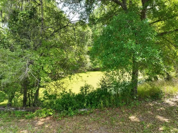 a view of a yard with a tree
