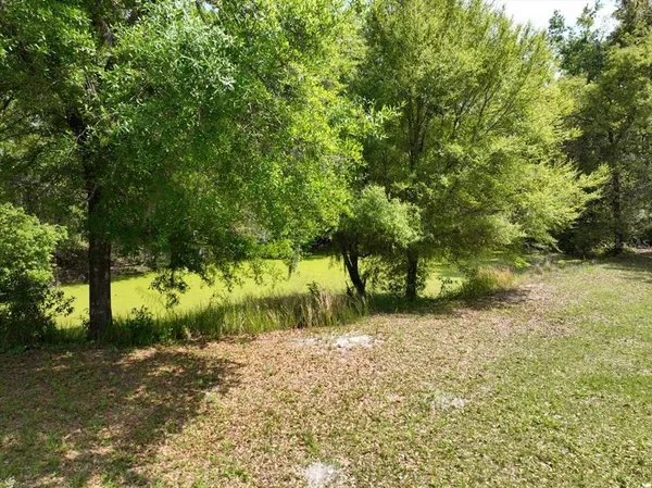 a view of backyard with green space