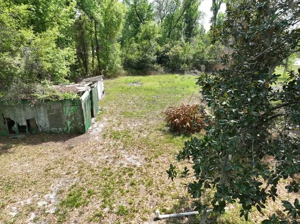 a view of a yard with plants and trees