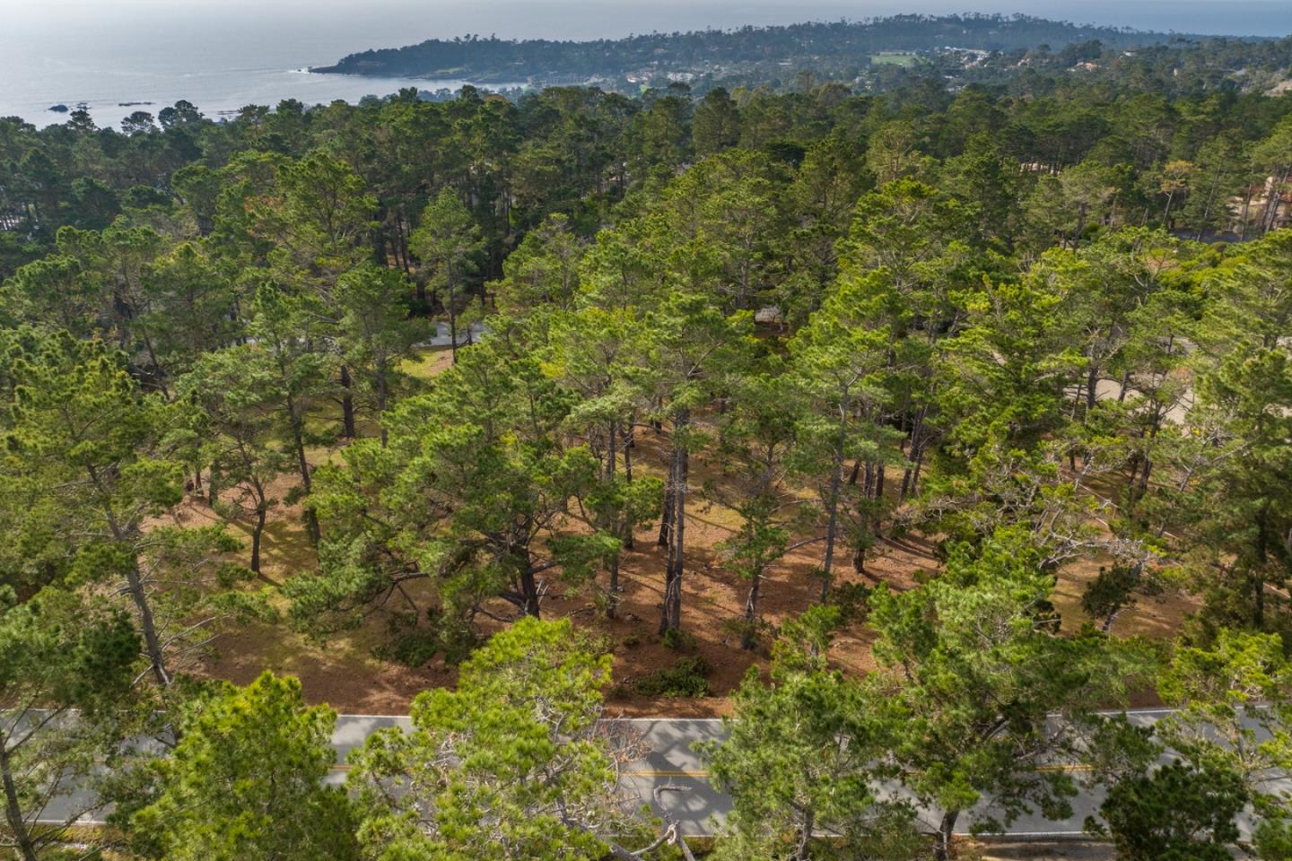 3144 Spruance Road Pebble Beach, CA 93953 - Photo 1 of 4 a view of a city with lush green forest