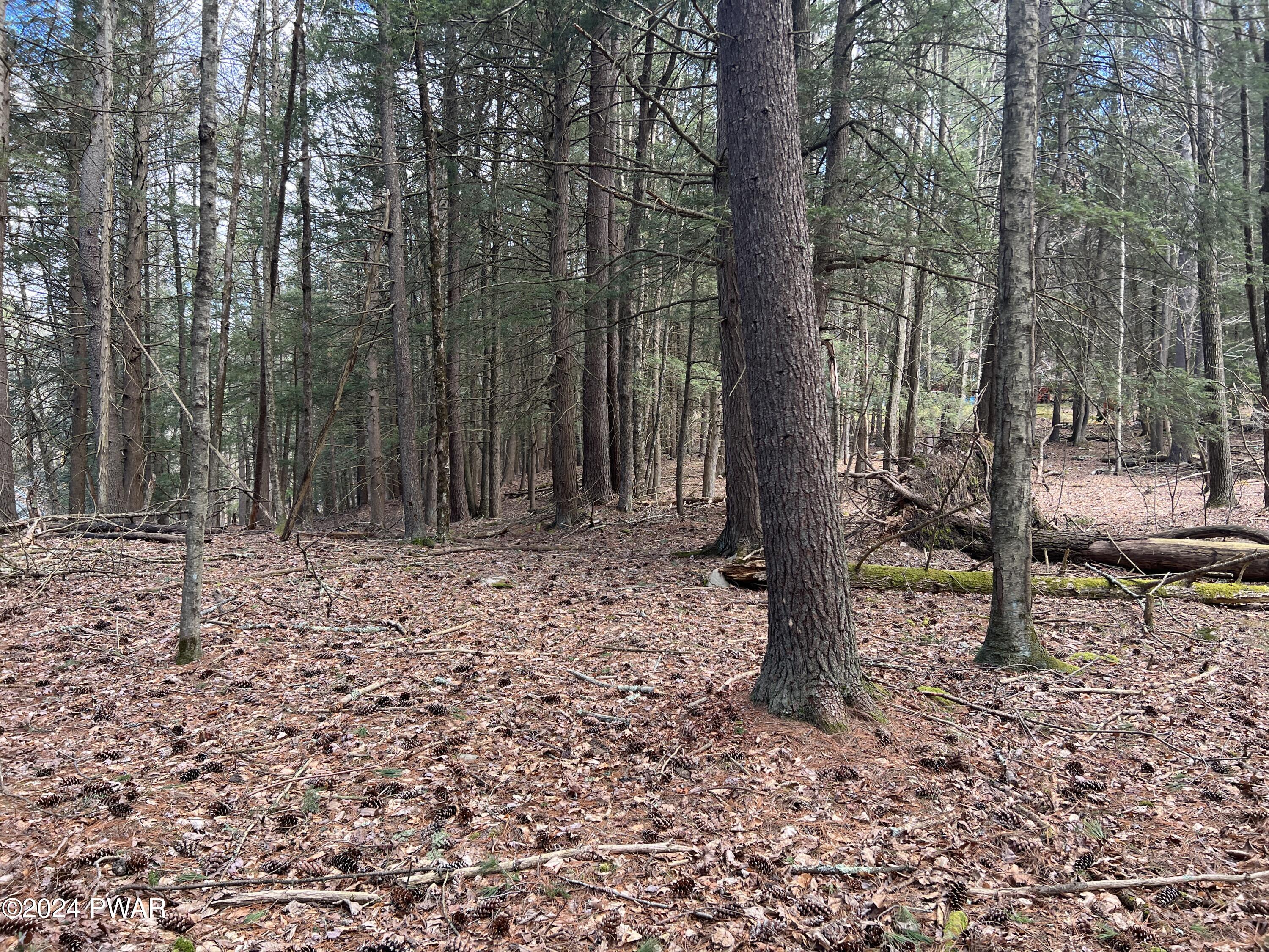 Creek Road Hawley, PA 18428 - Photo 7 of 21