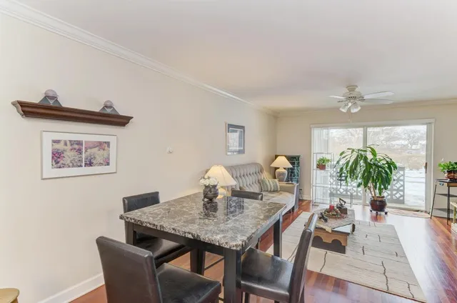 a view of a dining room with furniture and a potted plant