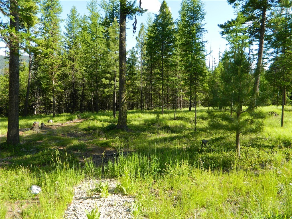 343 Summer Road Tonasket, WA 98855 - Photo 6 of 27 Gallery Image 6