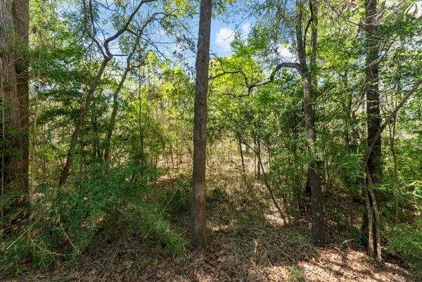 $2,000 | 2347 West Settler's Way, The Woodlands, TX 77380