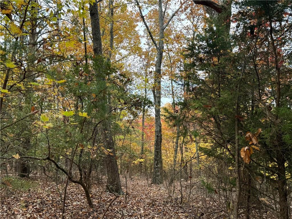 1344 Hunter Drive Ranger, GA 30734 - Photo 2 of 8 a view of forest