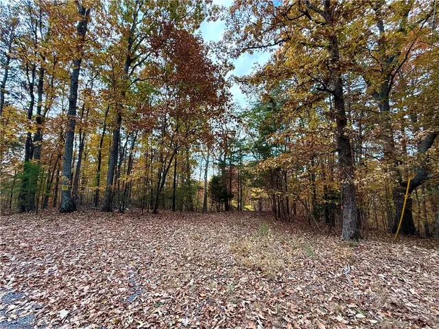 a view of a field with trees in the background