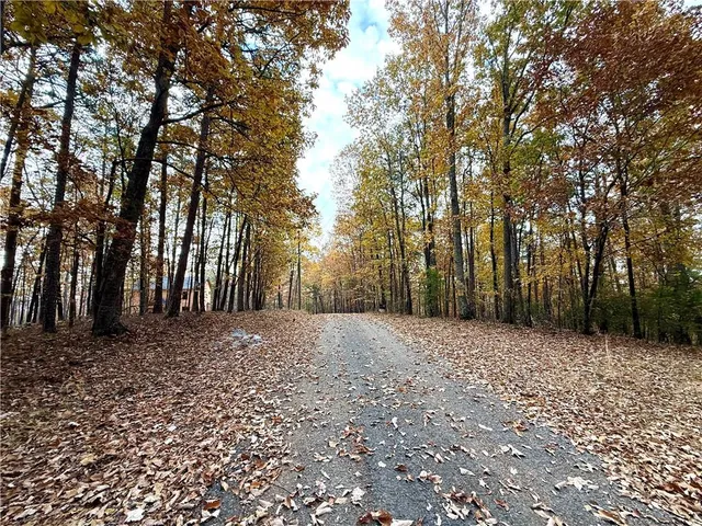 a view of a yard with trees