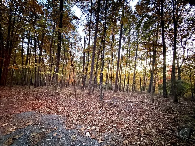a view of a yard with large trees