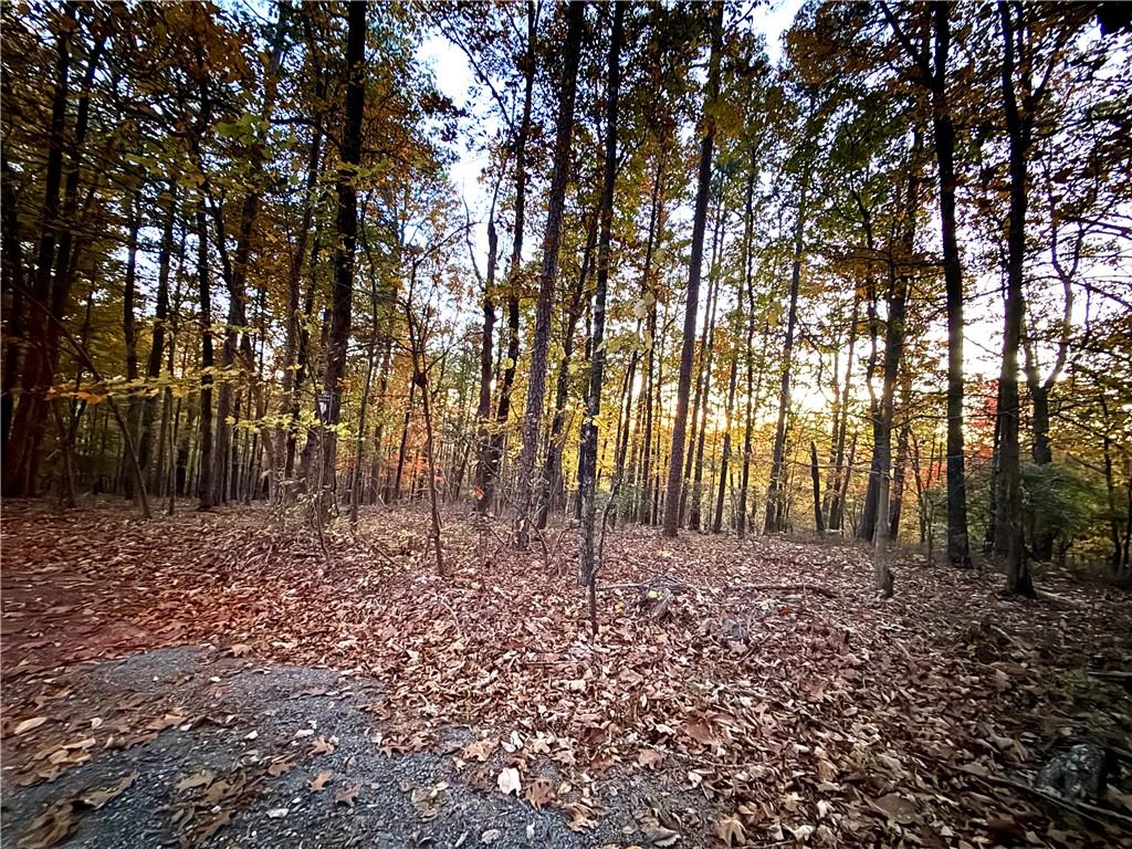 1344 Hunter Drive Ranger, GA 30734 - Photo 7 of 8 a view of a yard with large trees