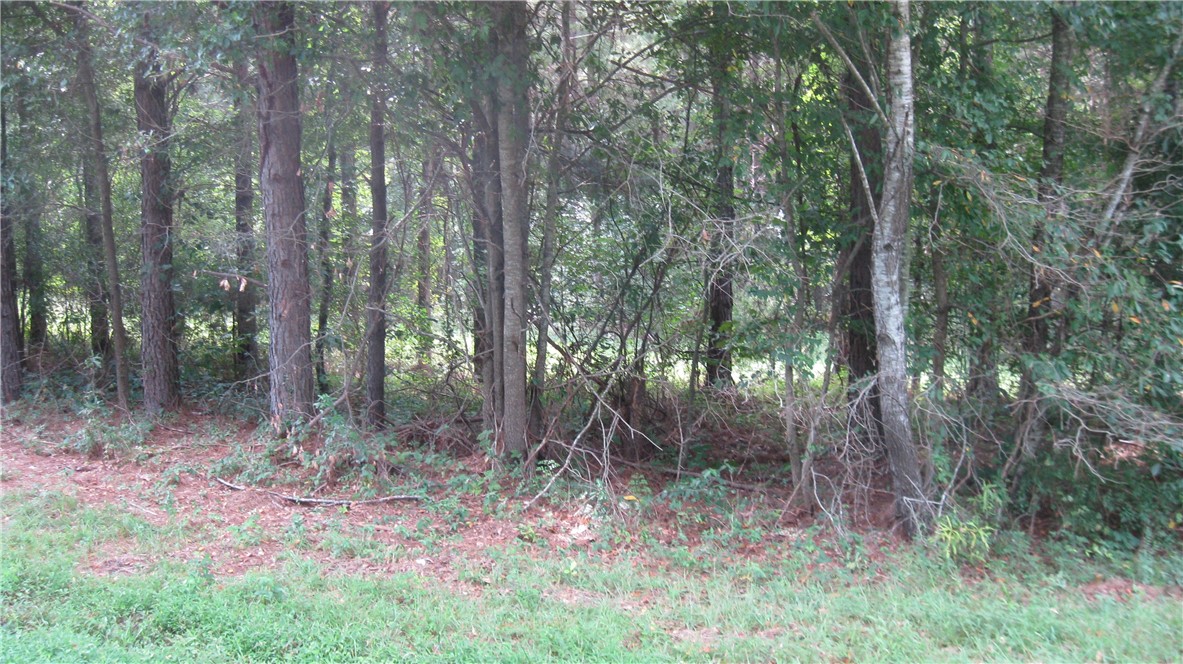 0 West Pine Grove Road, Unit LOT 4 Fair Play, SC 29643 - Photo 1 of 4 Gallery Image 1