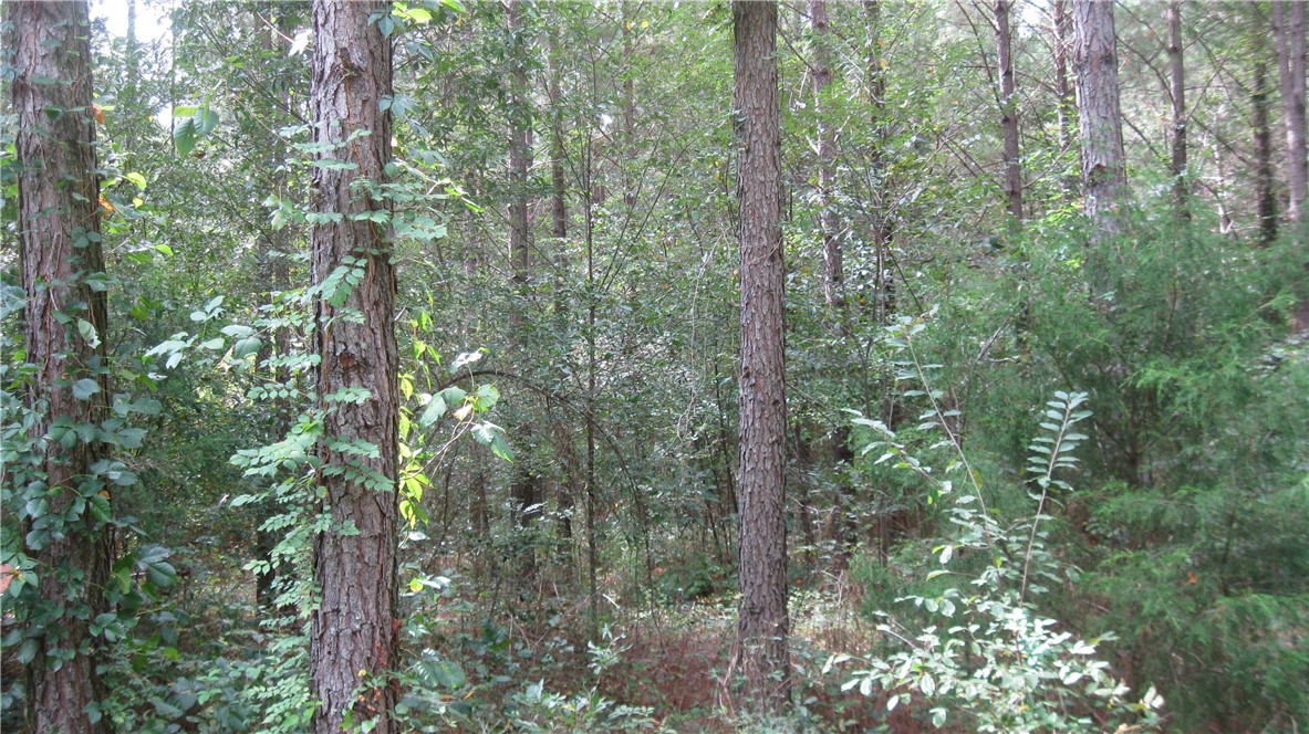0 West Pine Grove Road, Unit LOT 4 Fair Play, SC 29643 - Photo 4 of 4 Gallery Image 4