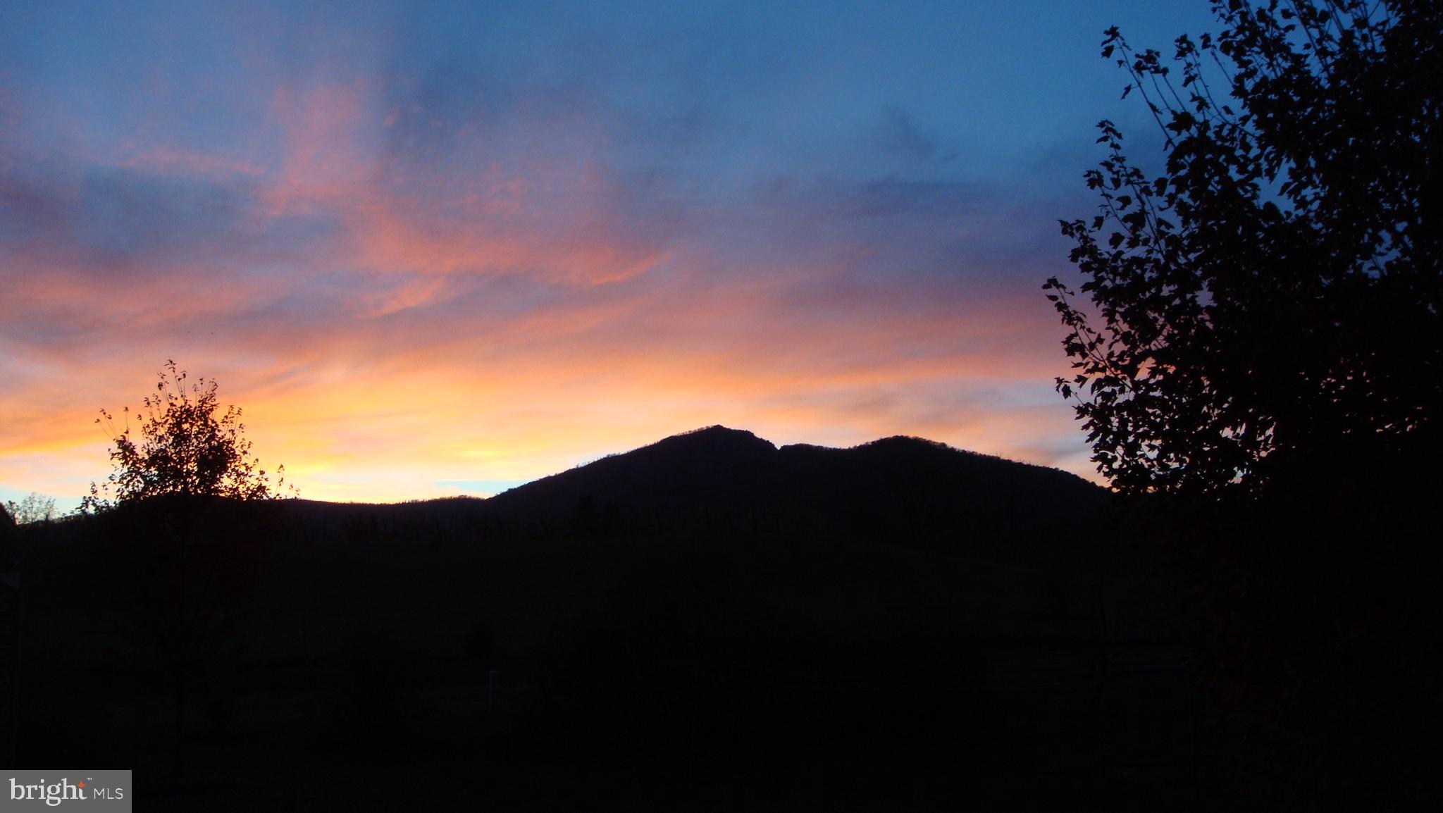 39 Sharp Rock Road Sperryville, VA 22740 - Photo 14 of 34