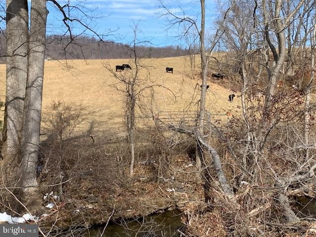 39 Sharp Rock Road Sperryville, VA 22740 - Photo 26 of 34 Nearby Views