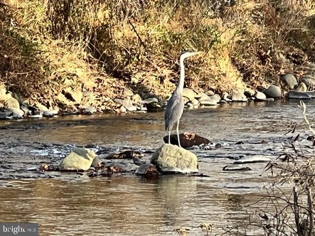 39 Sharp Rock Road Sperryville, VA 22740 - Photo 30 of 34 Nearby Views