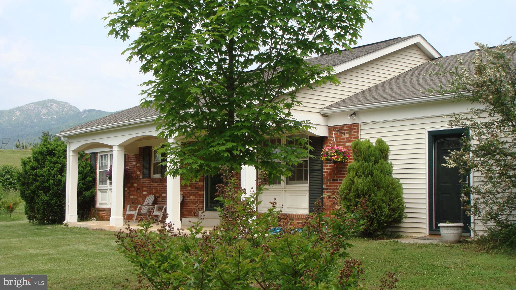 39 Sharp Rock Road Sperryville, VA 22740 - Photo 3 of 34