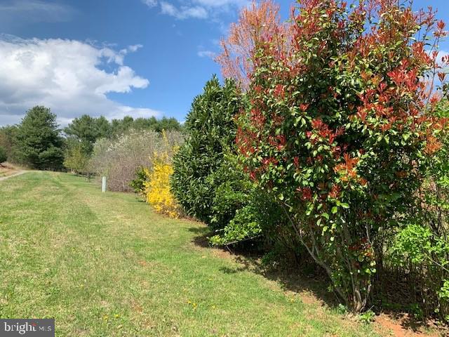 39 Sharp Rock Road Sperryville, VA 22740 - Photo 31 of 34