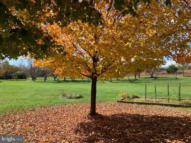 39 Sharp Rock Road Sperryville, VA 22740 - Photo 34 of 34