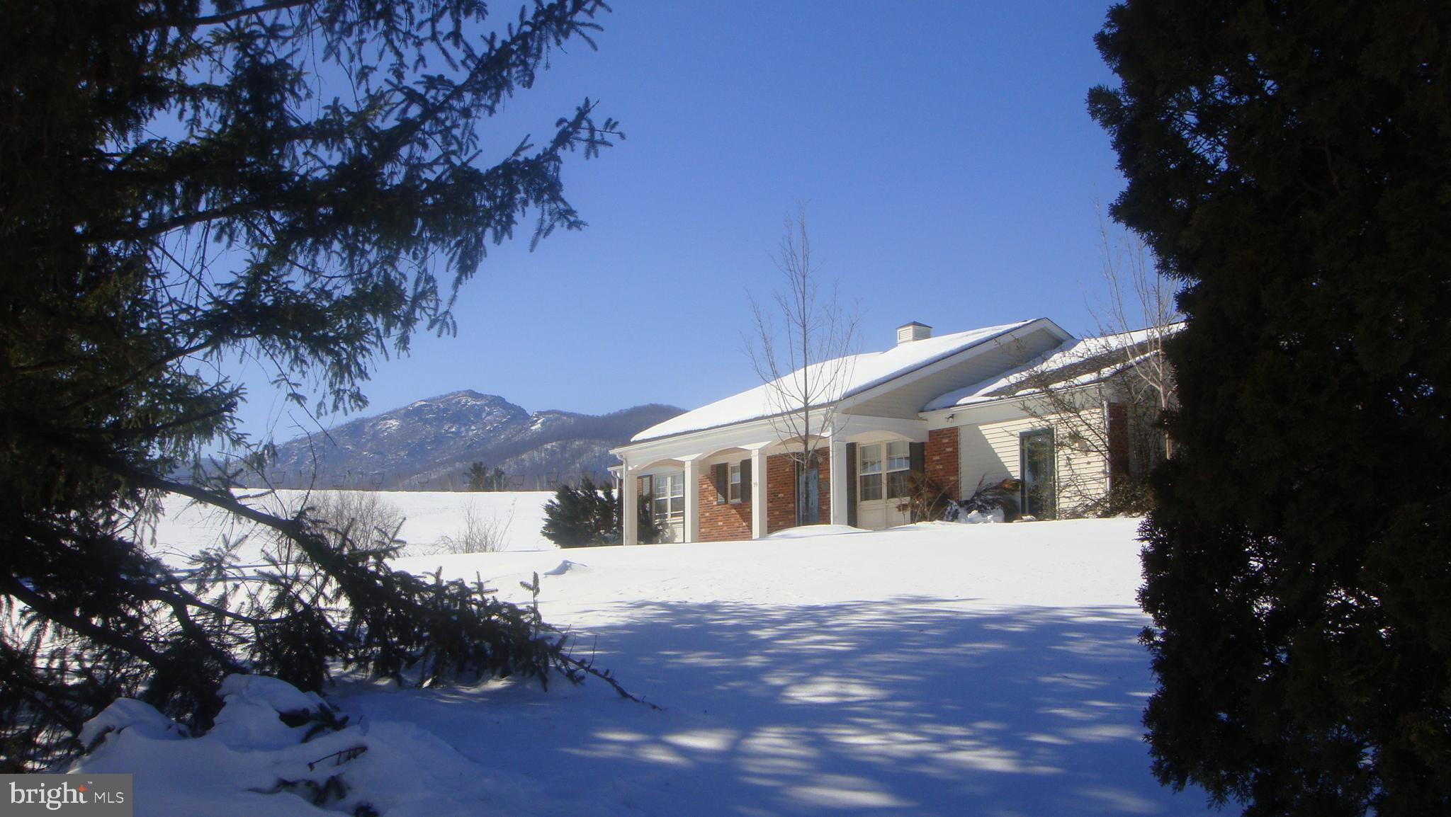 39 Sharp Rock Road Sperryville, VA 22740 - Photo 4 of 34