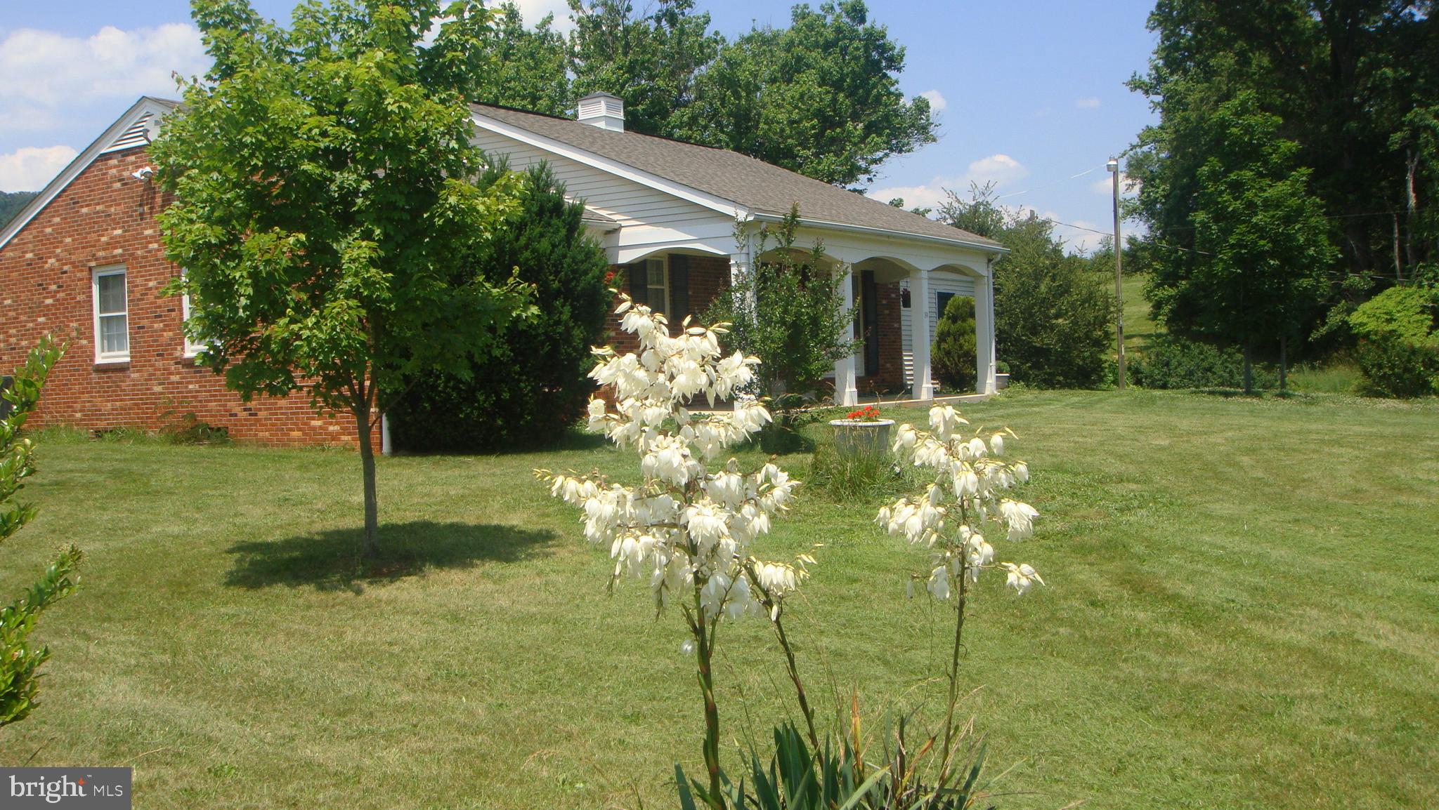 39 Sharp Rock Road Sperryville, VA 22740 - Photo 10 of 34