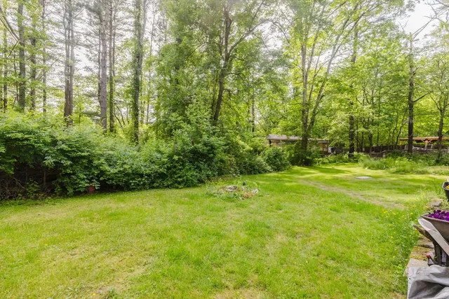 a view of a field with trees in the background