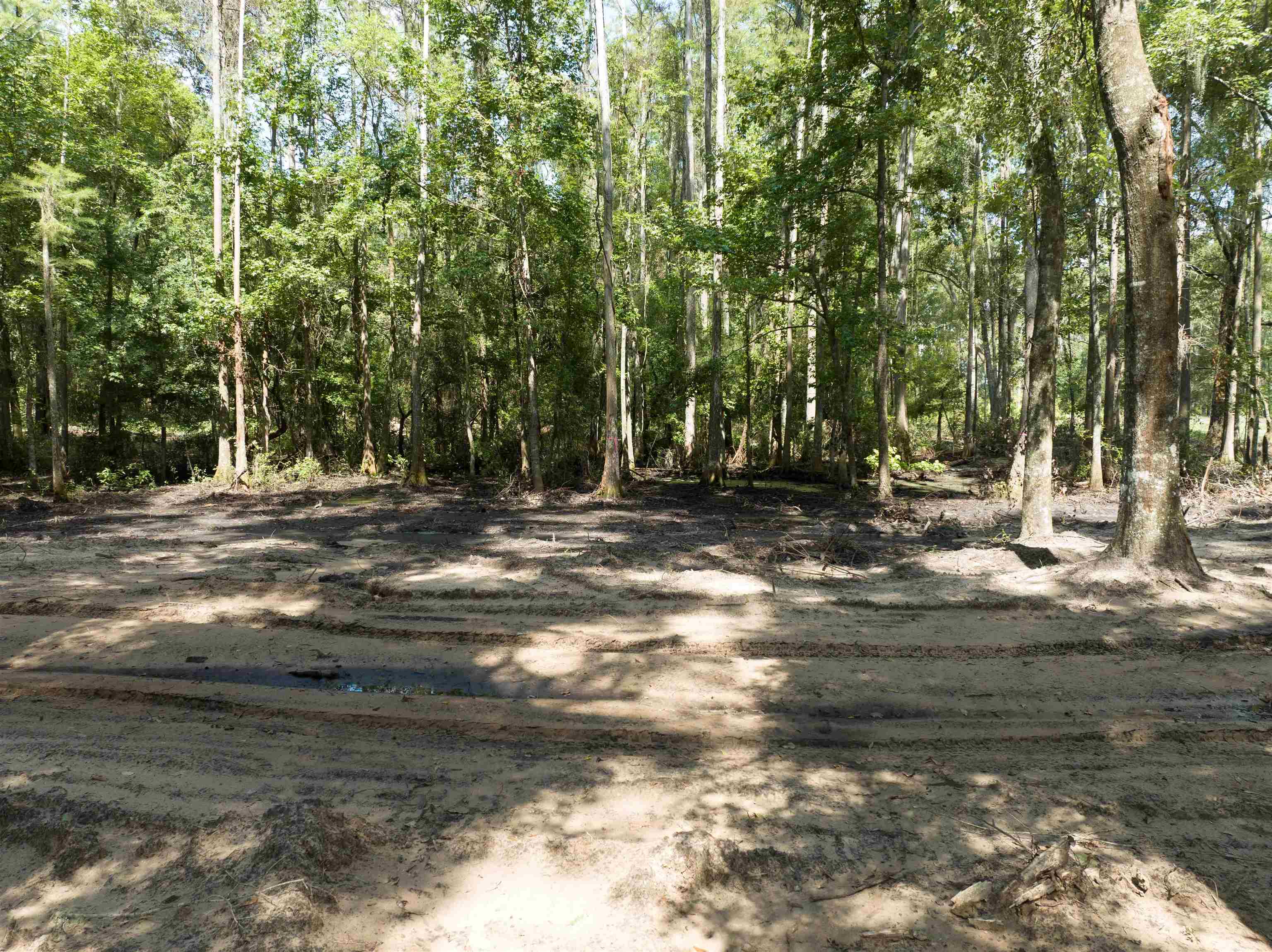 5300 Turner Road Perry, FL 32348 - Photo 4 of 20 Gallery Image 4