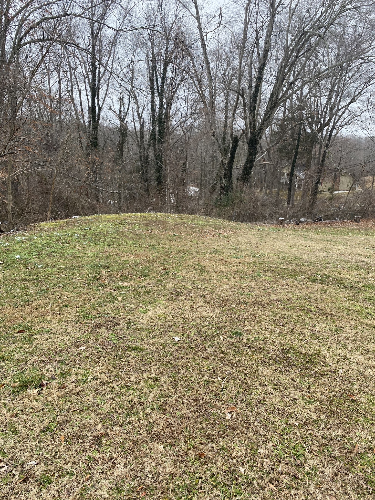 133 West Shellsford Road McMinnville, TN 37110 - Photo 12 of 14 Gallery Image 12
