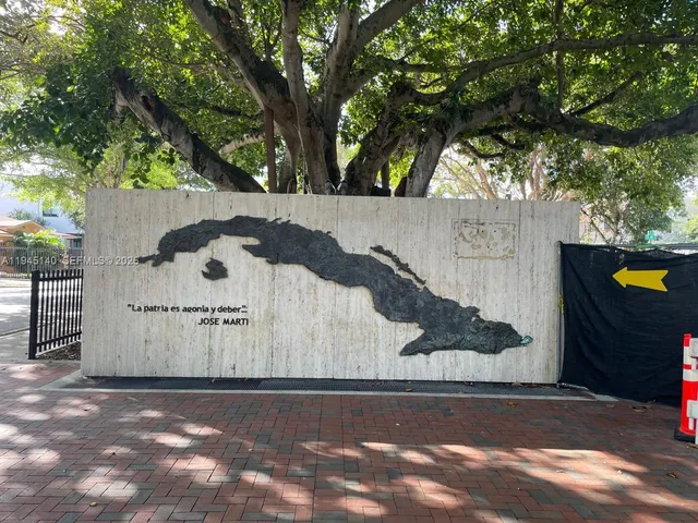 a view of a yard with plants and large trees