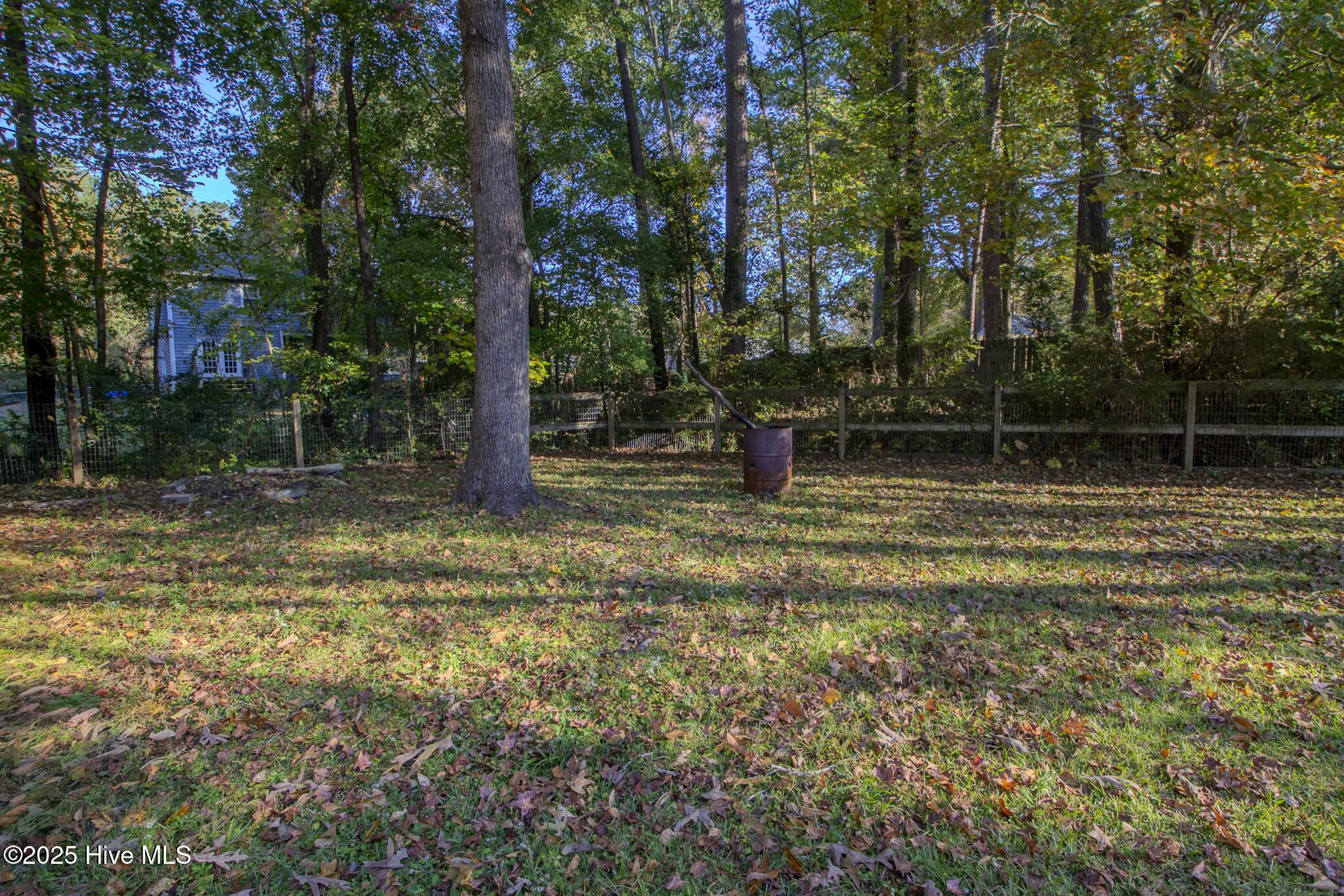 816 Mill River Road Jacksonville, NC 28540 - Photo 45 of 46 IMG_6065-HDR
