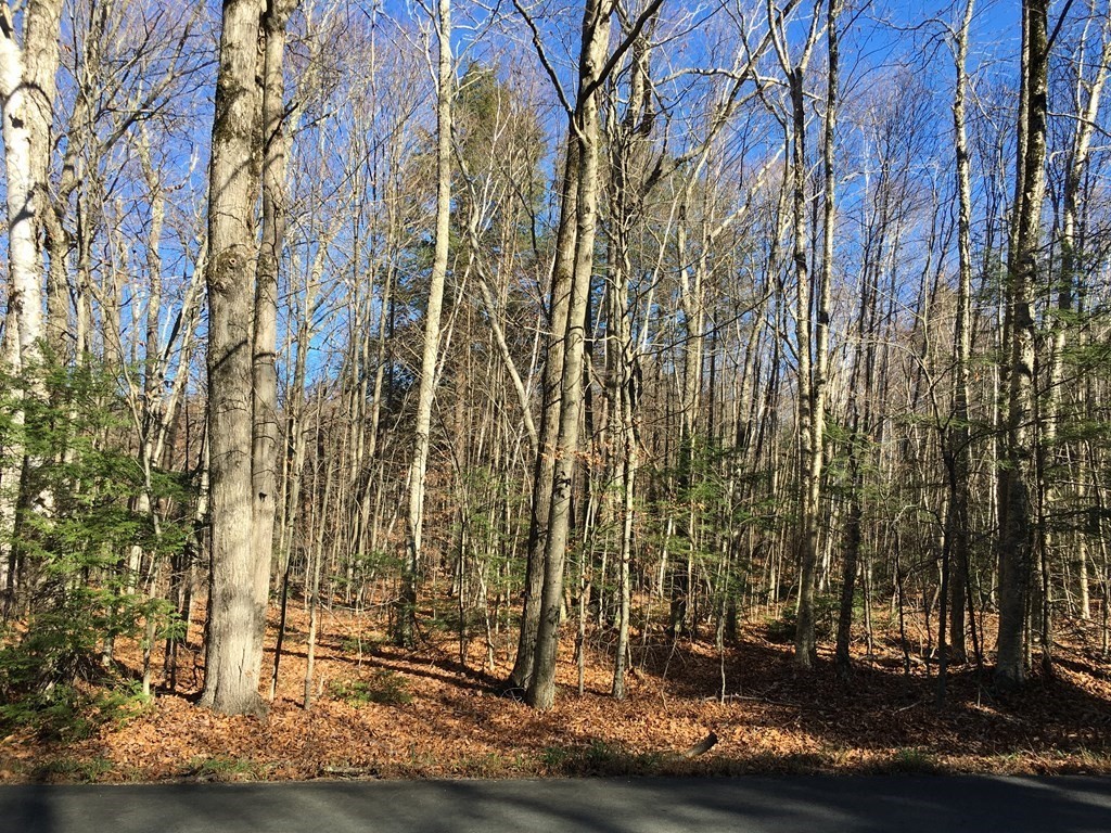 0 Dodwells Road Cummington, MA 01026 - Photo 3 of 3 Gallery Image 3