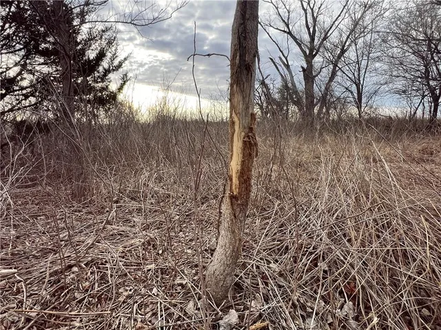 $320,000 | 1476 North 13th Street, Blackwell, OK 74631